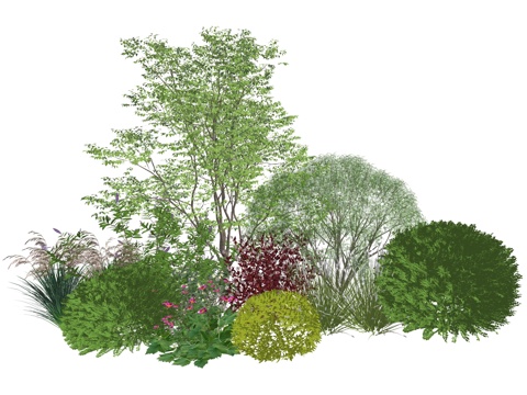 现代庭院植物堆景观组合su模型