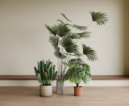 现代盆栽盆景 绿植摆件 绿植su模型