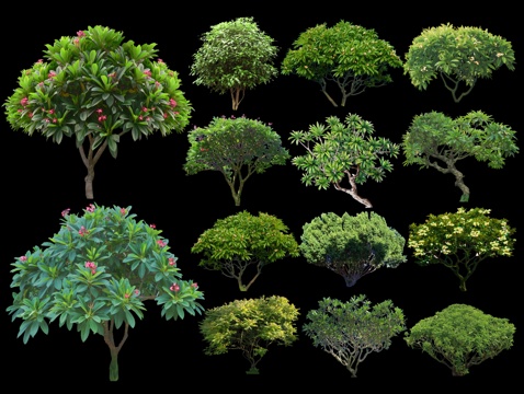 现代鸡蛋花 花球 灌木球 球形灌木 花灌木 色叶球 球灌木su模型