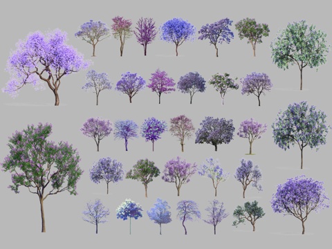 现代蓝花楹 紫荆树 紫叶李 色叶树 花乔木 景观树 彩叶树su模型
