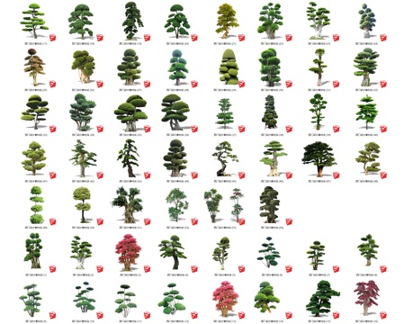 现代造型女贞 对节白蜡 造型松 景观树 观赏树 庭院树造型树su模型