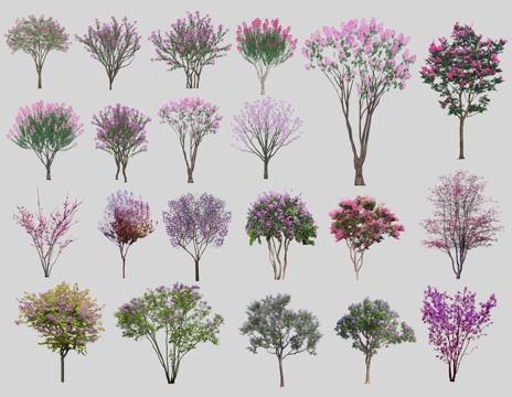 现代紫薇树 紫荆树 景观树 丛生紫薇 蓝花楹 色叶树 花树su模型