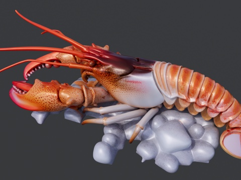 冰冻波士顿大虾su模型