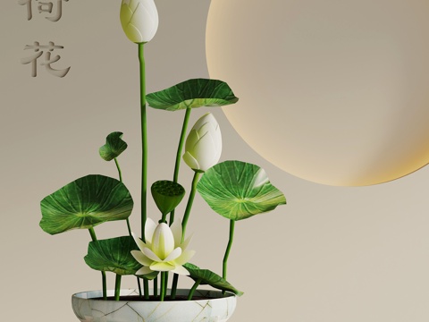 新中式插花 荷花 花艺 盆景su模型