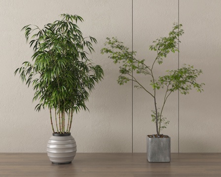 家居植物盆栽 绿植盆景su模型