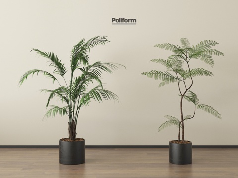 家居植物盆栽 绿植盆景su模型