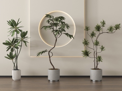 家居植物盆栽 绿植盆景su模型