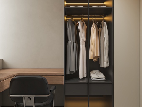  现代意式衣帽间3d模型 