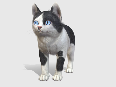 小猫-简单su模型