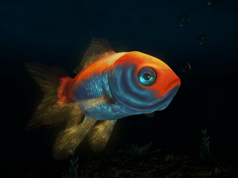 彗星-金鱼su模型