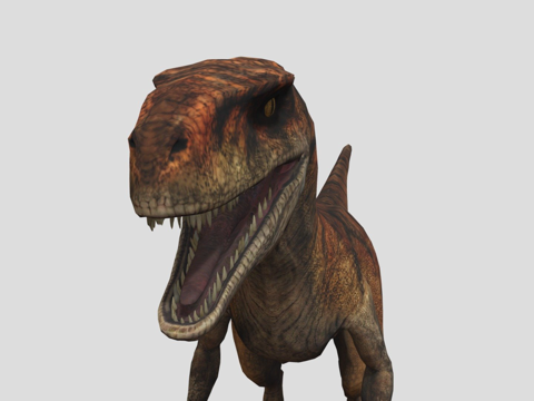 阿罗西盗龙虎su模型