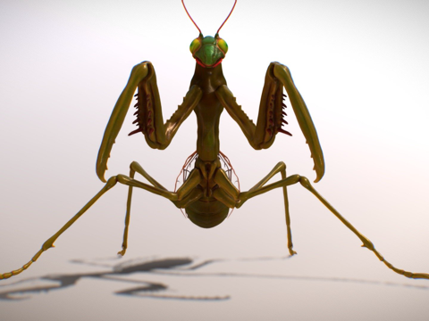 融化4K纹理su模型