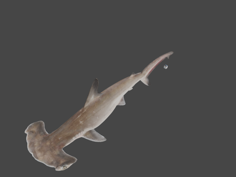 感谢印束商店合作su模型