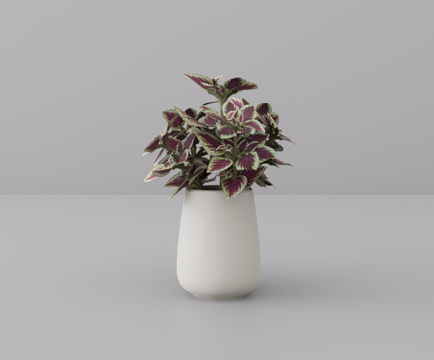 花卉摆件su模型