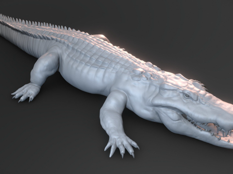 鳄鱼基础网格su模型