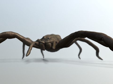 巨型猎人蛛su模型