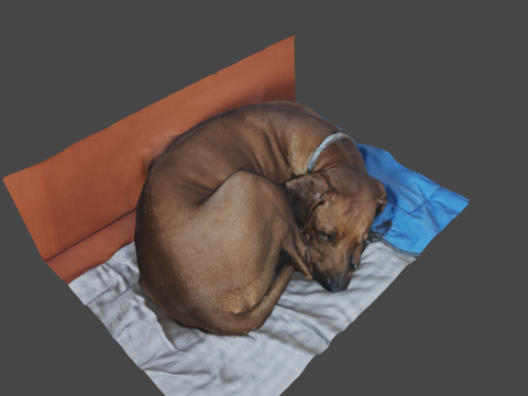 狗-3D扫描测试su模型