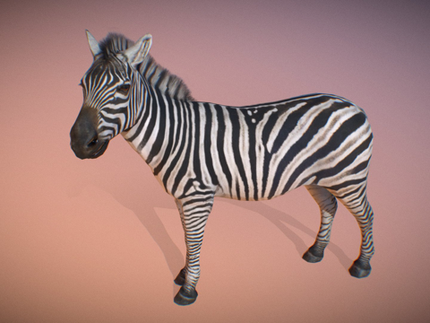 动物界-斑马su模型