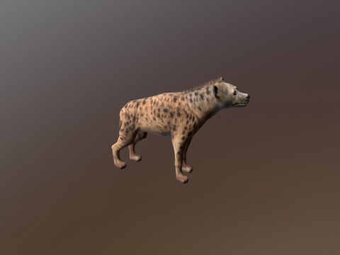 非洲动物-鬣狗su模型
