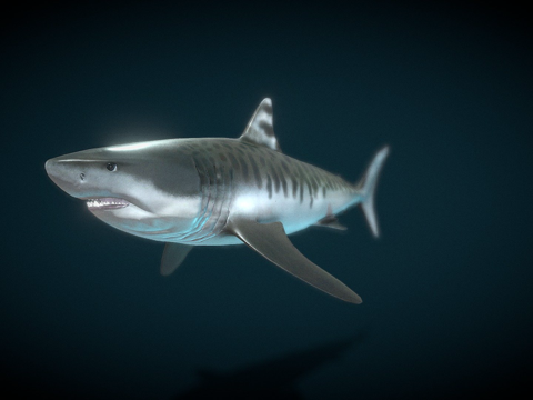 可下载巨齿鲨su模型