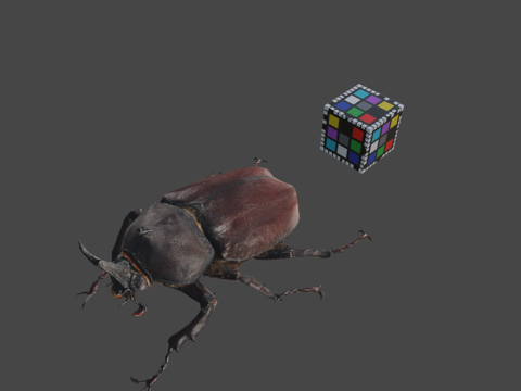 CC0甲虫♂日本犀金龟(ffish.asia-floraZisu模型