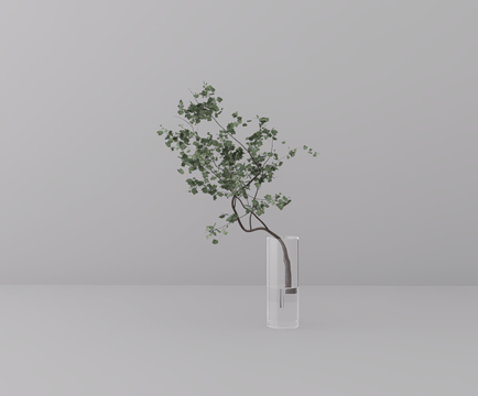 玻璃瓶绿植su模型