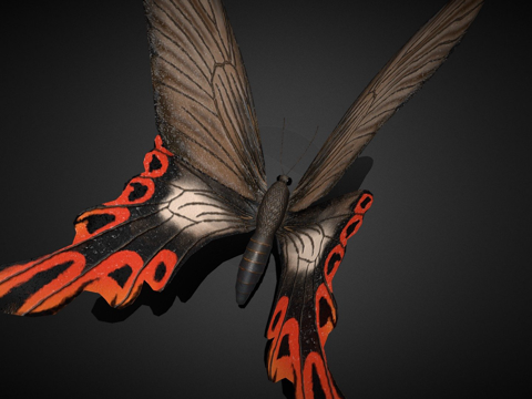 大紫蛱蝶绑定su模型