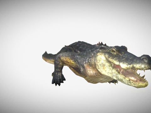 鳄鱼su模型