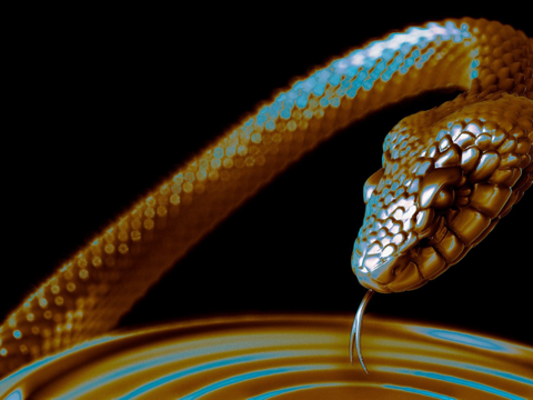 许癸厄亚之碗su模型