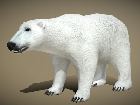DRT-野生动物-北极熊su模型