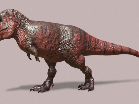 霸王龙插画版(维生素想象株式会社(CEO-金京谦))su模型