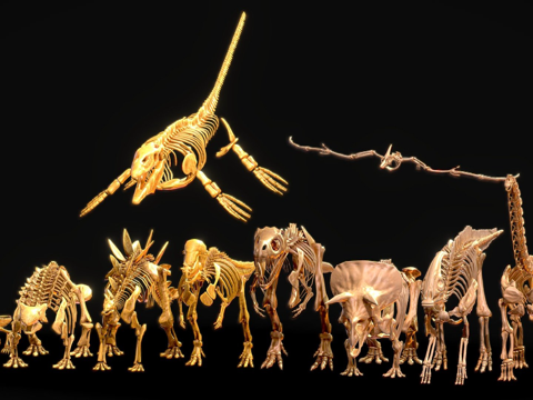 写实古代爬行动物化石su模型