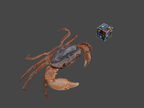 CC0日本淡水蟹?♂su模型