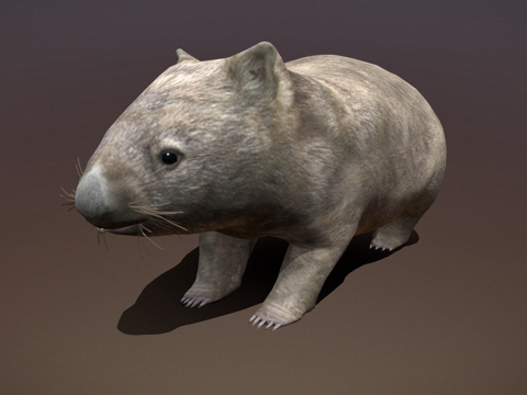 袋熊预览su模型