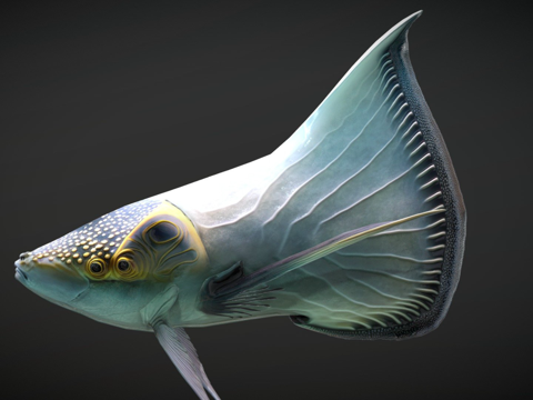 外星幻想鱼-太阳鳍su模型