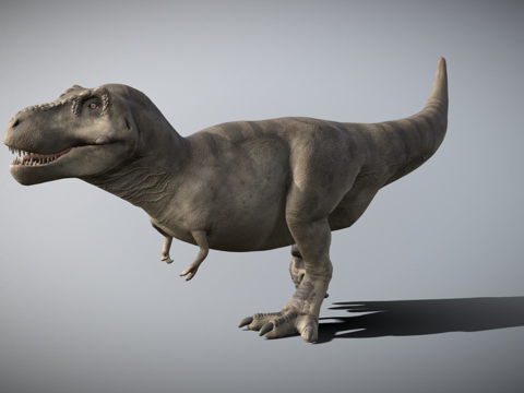 中华大虎头蜂su模型