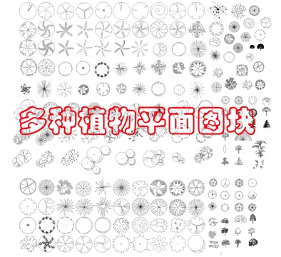 现代综合植物图库cad施工图