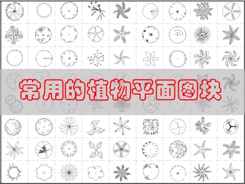 现代综合植物图库cad施工图