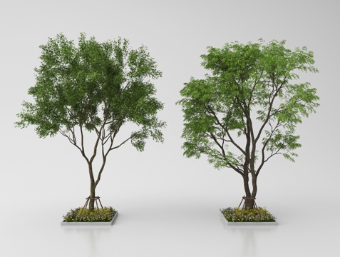 现代庭院小品 园林景观 植物造景su模型