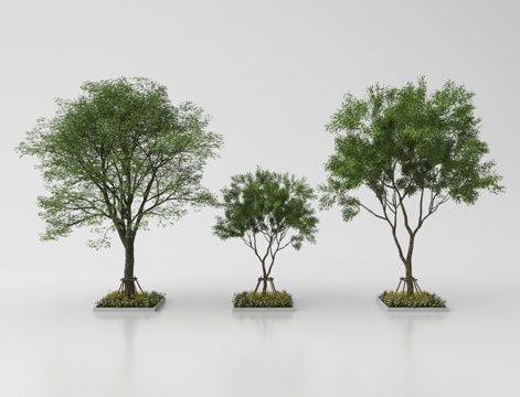  现代庭院小品 园林景观 植物造景3d模型 