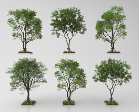  现代庭院小品 园林景观 植物造景3d模型 
