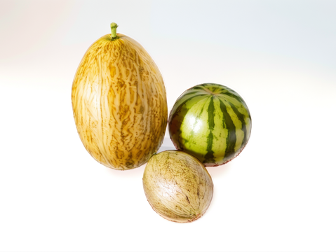 水果食物su模型