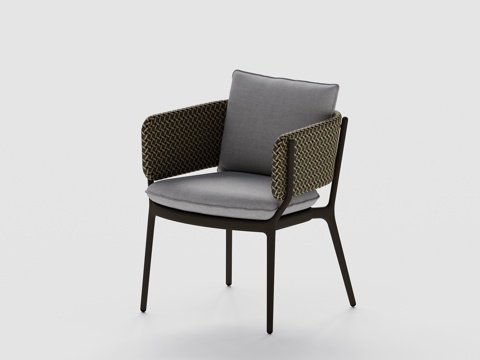 DEDON - 现代户外椅 藤编椅 单人椅 餐椅su模型