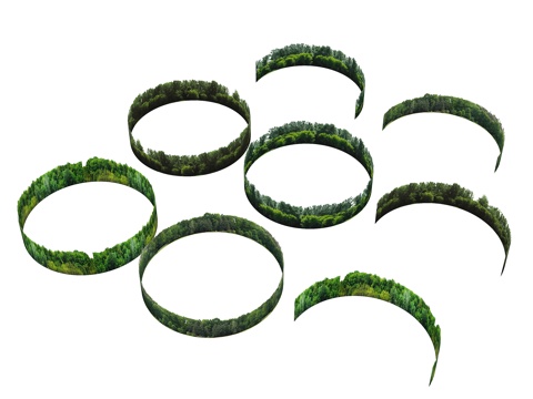  现代背景林 背景树林 球天背景林 远景树林 公园背景 植物背3d模型 