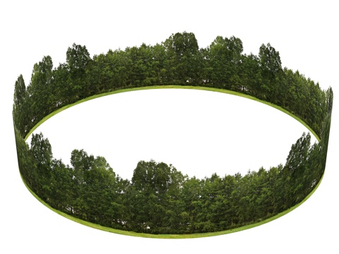 现代背景林 背景树林 球天背景林 远景树林 公园背景 植物背su模型