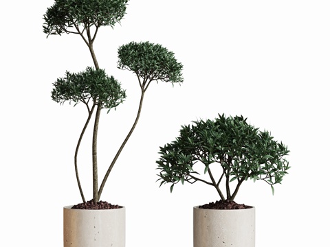 现代盆栽植物摆件su模型