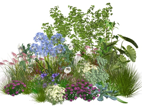 现代庭院植物堆景观组合su模型