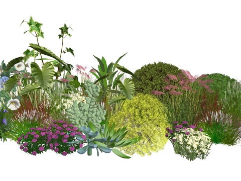  现代庭院植物堆景观组合su模型 