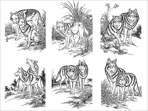 狼图块cad施工图