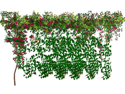 现代藤蔓植物su模型